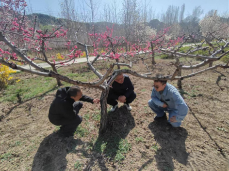 ��ˮ������ר��ָ��������ľ��ֲ����