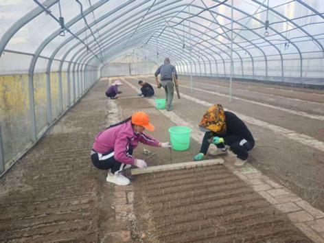 ��ˮ�ֿ�չɳ��Ǥ�己������